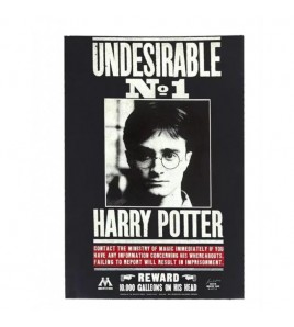 Harry Potter: Cinereplicas...