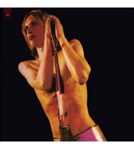 Pop Iggy And The Stooge -...