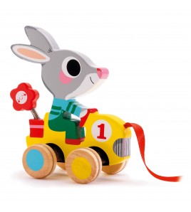 Roulapic coniglietto da...