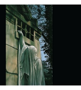 Dead Can Dance - Within The...