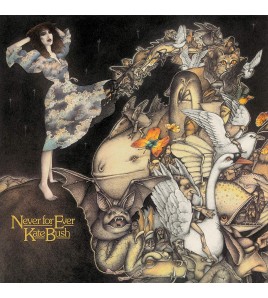 Bush Kate - Never For Ever...